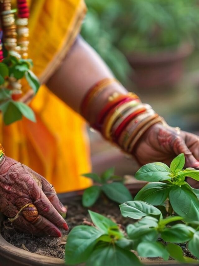 Holy Basil Benefits: Ancient Wisdom for Modern Wellness
